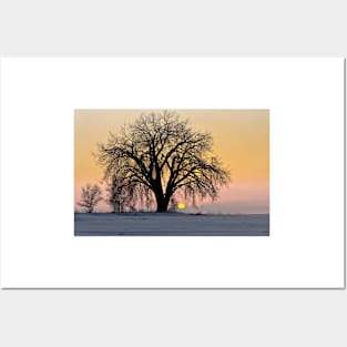 Cottonwood Cold Sunrise Posters and Art